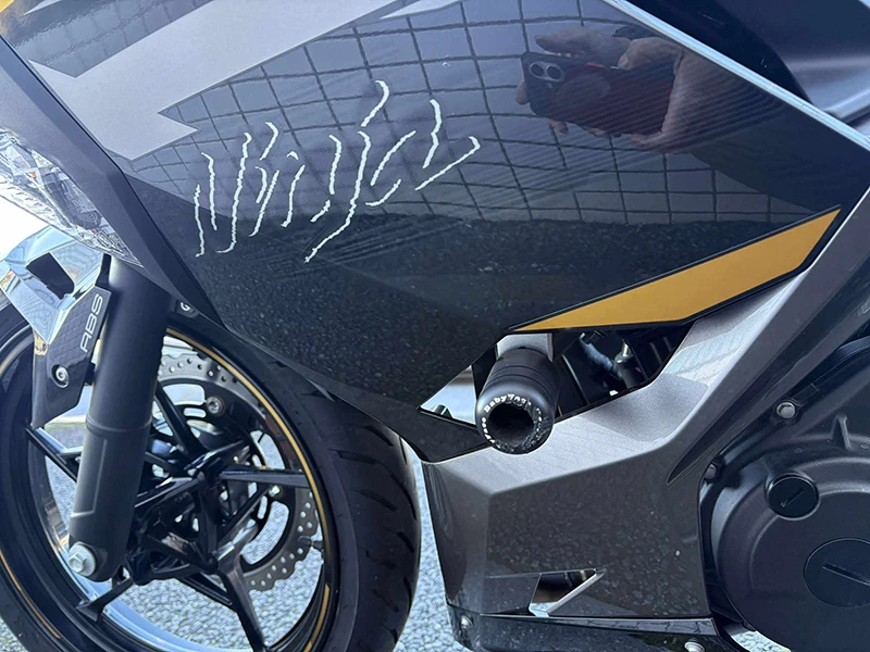 大きなダメージはありませんが、左右に立ちゴケの跡があります。